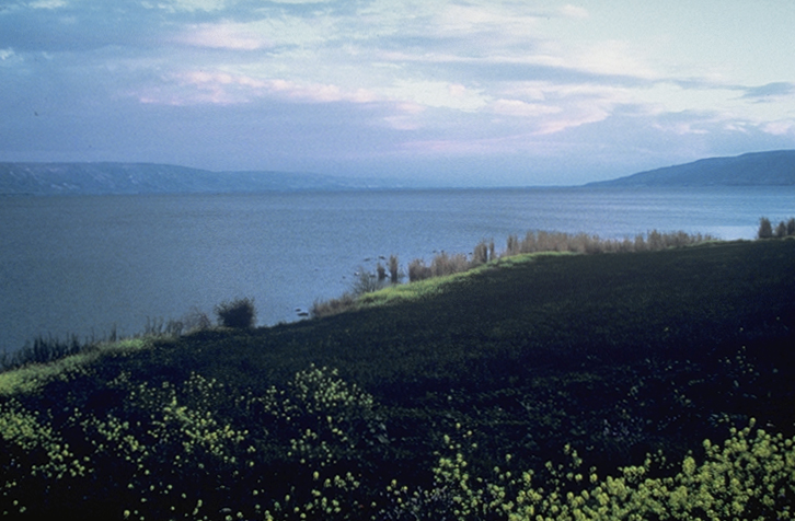 Zee van Galilea in de buurt van Betsada