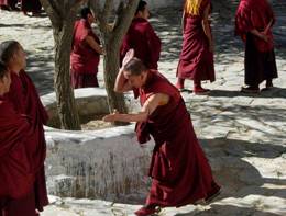https://upload.wikimedia.org/wikipedia/commons/thumb/8/8c/Lama_debating.jpg/800px-Lama_debating.jpg