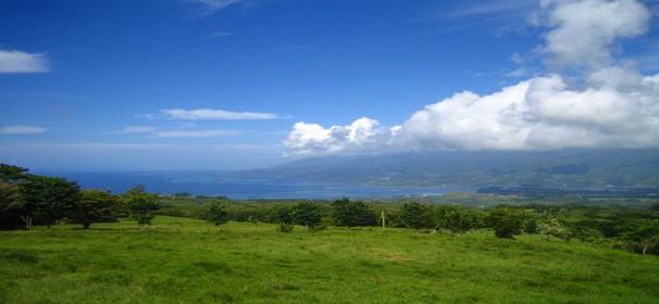 https://upload.wikimedia.org/wikipedia/commons/1/18/Taravao.JPG