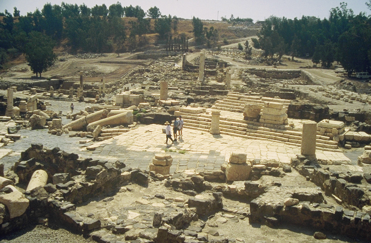 Scythopolis cardo