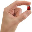 Afbeeldingsresultaat voor foto chip hand