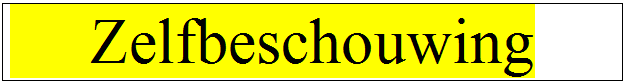 Tekstvak:      Zelfbeschouwing