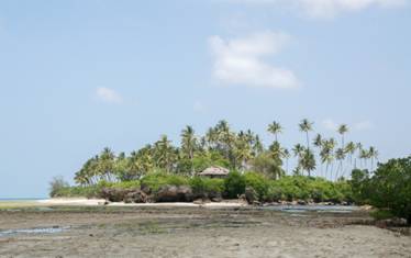 https://www.in24fotos.nl/wp-content/uploads/2017/02/zanzibar-5.jpg